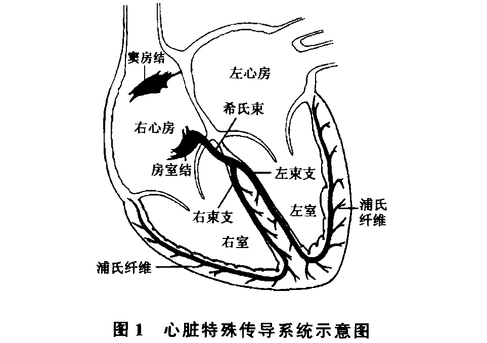 奥希替尼9291_奥希替尼吃了下肢浮肿_奥希替尼9291哪里买