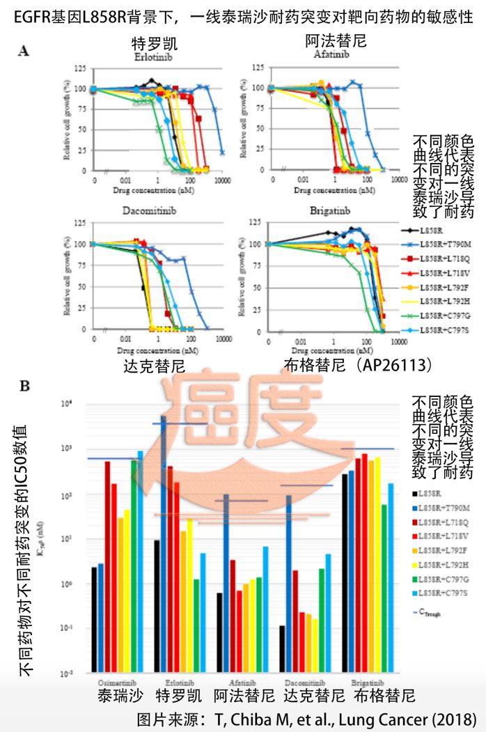 EGFR突变晚期非小细胞肺癌一线治疗最优解这是BMJ正刊首次发表