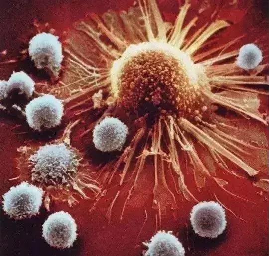 贝伐珠单抗治疗肺腺癌_贝伐珠单抗降价没_贝伐珠单抗是靶向药吗