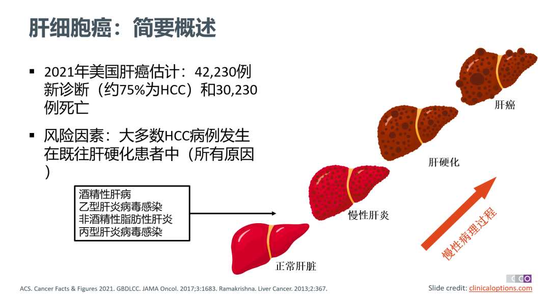 索拉非尼 说明书_索拉非尼与多纳非尼_索拉非尼抑制靶点
