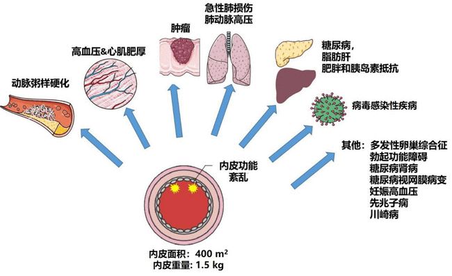 基于此项III期临床研究显示抗新生血管的靶向治疗药物