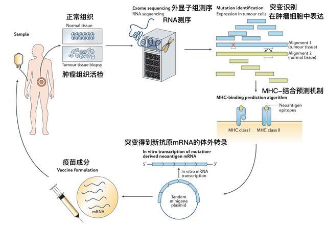 9291奥希替尼价格_肺癌晚期奥希替尼耐药后怎么办_奥希替尼9291