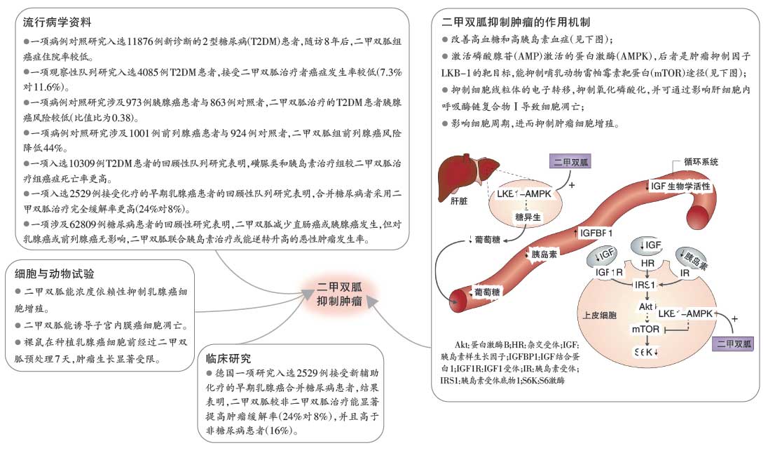 癌症康复手操_癌症康复医院_吉非替尼治疗癌症康复