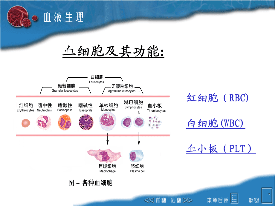 癌症康复期应如何锻炼_吉非替尼治疗癌症康复_癌症康复手操
