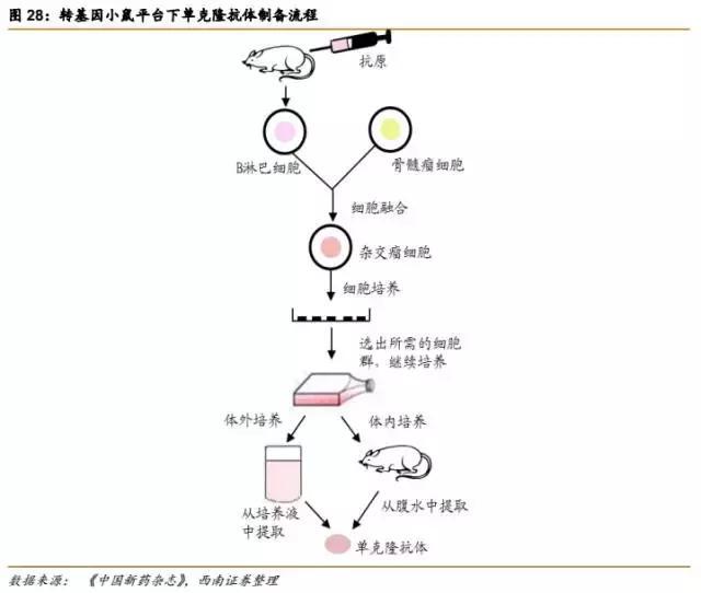 贝伐珠单抗是化疗药吗_贝伐珠单抗_贝伐珠单抗的靶点