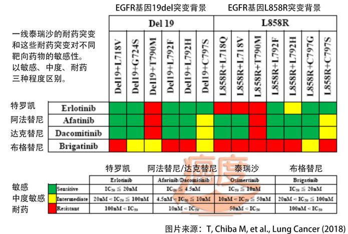 奥斯替尼和奥希替尼_奥希替尼一个月耐药_9291奥希替尼价格