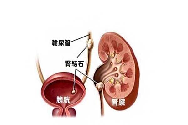 肝部有肿瘤吃奥希替尼管用吗_奥希替尼9291哪里买_奥希替尼9291药品