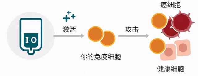 直肠癌贝伐单抗效果_贝伐单抗多久起效果_贝伐单抗和贝伐珠单抗