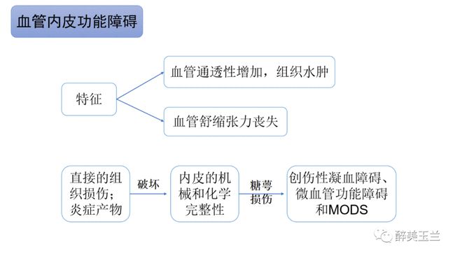 
贝伐珠单抗在瑞士罗氏研发生产中的抗癌作用