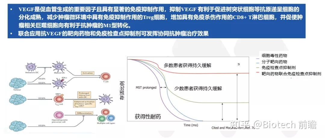 德国拜耳制药生产研发的多靶点多激酶抑制剂