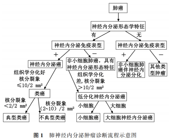 中国肺癌新发和死亡率居世界首位中国新发病例高达近82万