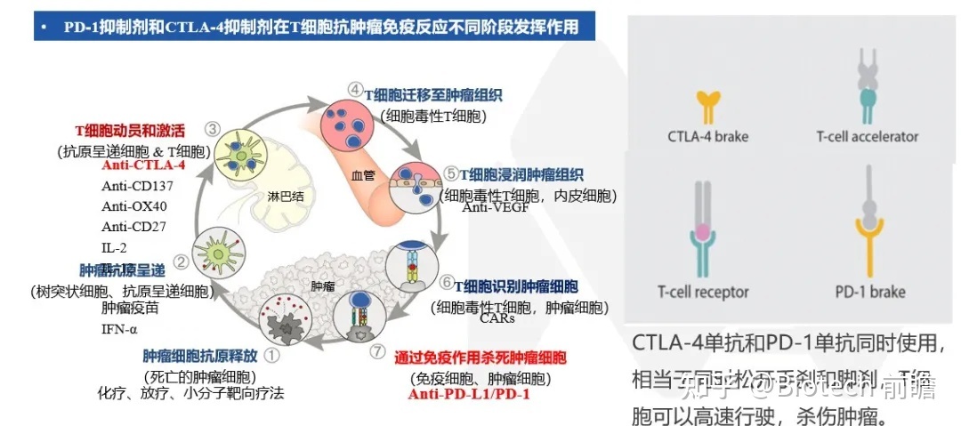 肾透明细胞癌骨转移_肾细胞癌mr增强扫描时的强化特点_索拉非尼肾上皮细胞癌