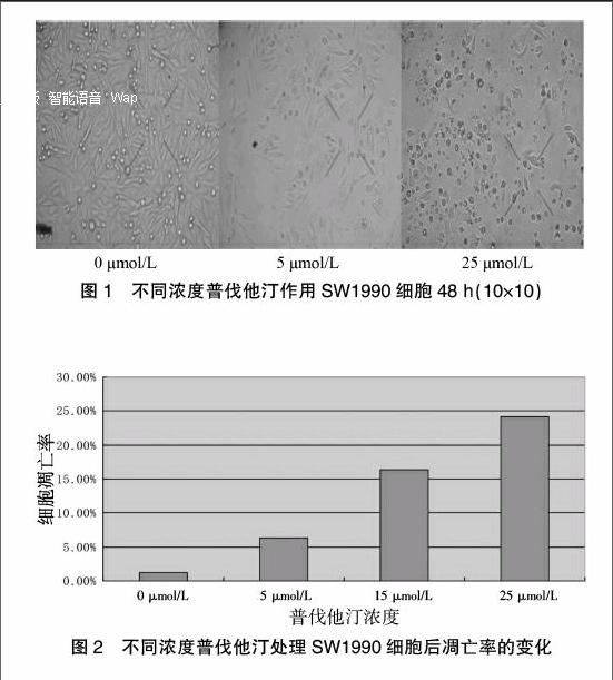 乳腺癌贝伐单抗滴注要求_贝伐珠单抗价格_贝伐珠单抗可以报销吗