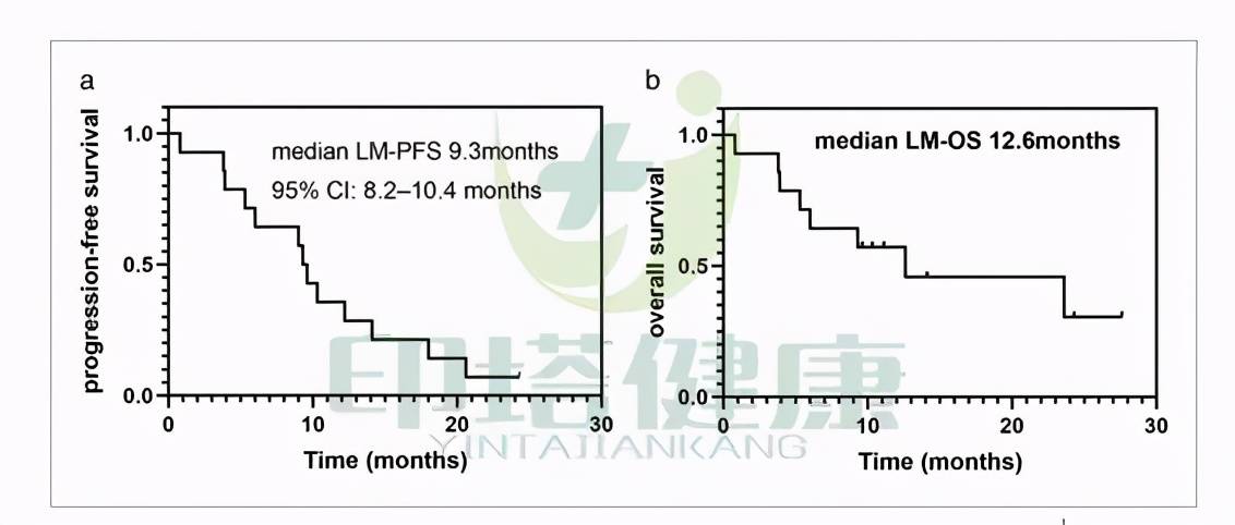 术后替尼针对肺癌脑转移患者的III期临床试验最新研究成果
