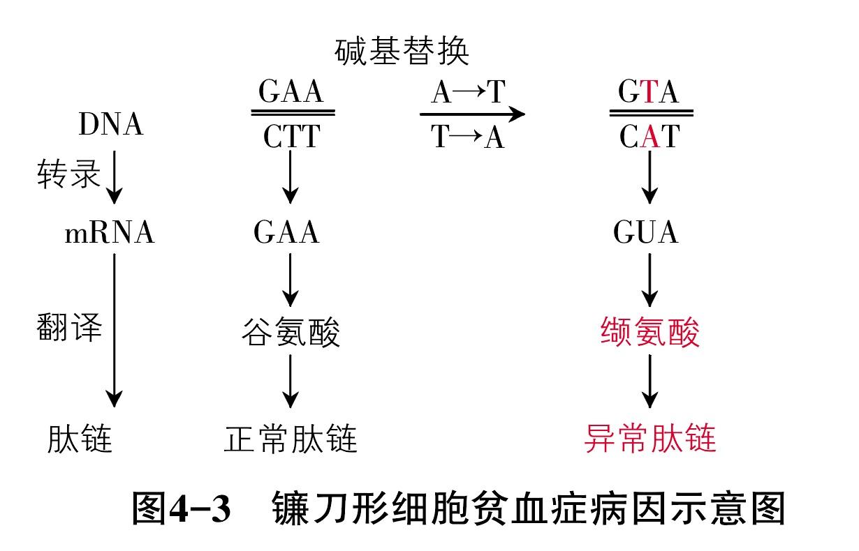 hpv基因检测阴性_基因检测报告jak2exon14阴性_基因检测为阴性能用吉非替尼不