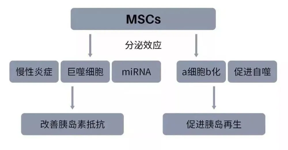 索拉非尼抑制白细胞_索拉非尼远期_索拉非尼多少钱