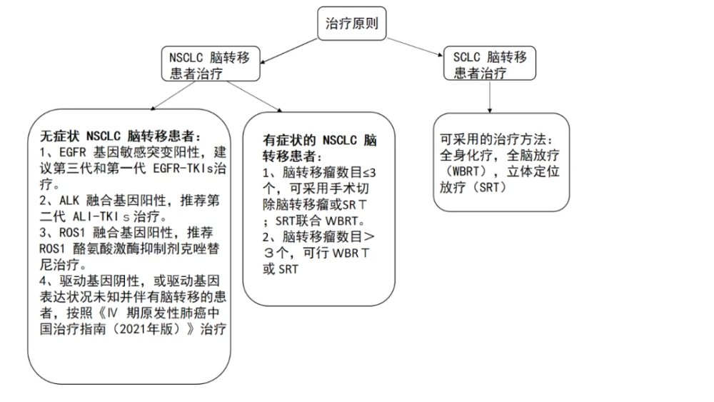 

梅奥诊所原发性肺癌脑转移的检查方式有哪些？