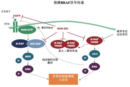 
肺癌的EGFR‐TKIs治疗的耐药机制及治疗策略分析

