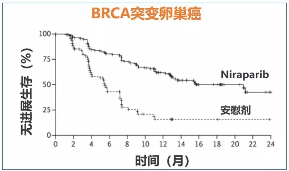 2016年上海事业单位医疗招聘：化疗联合分子靶向药物