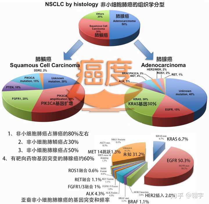 印度抗肿瘤药物索拉非尼_印度版索拉非尼怎么买_印度索拉非尼