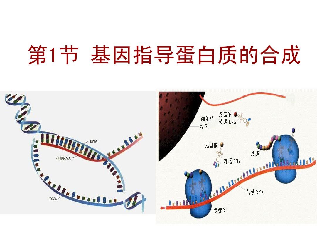 贝伐单抗联合易瑞沙_贝伐珠单抗是化疗吗_西妥昔单抗贝伐单抗