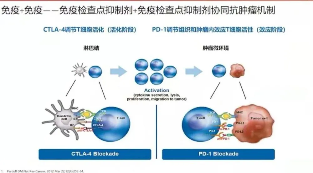 贝伐珠单抗多久耐药_肺癌新药贝伐单抗_直肠癌贝伐单抗多久会耐药
