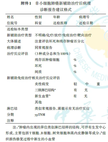 肺鳞癌和腺癌哪种好治_肺腺癌吉非替尼耐药_肺原位腺癌定义