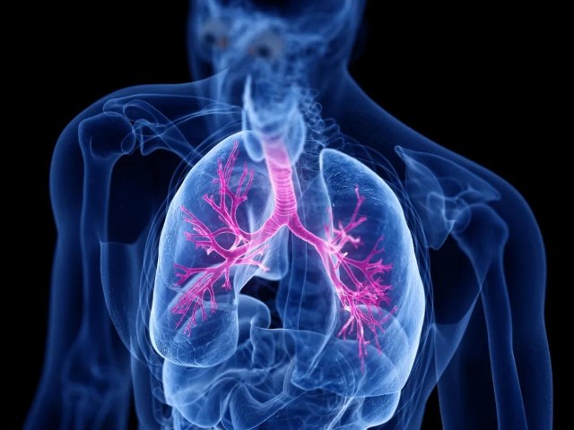 2.手术治疗的局部晚期、转移性或复发性小细胞肺癌