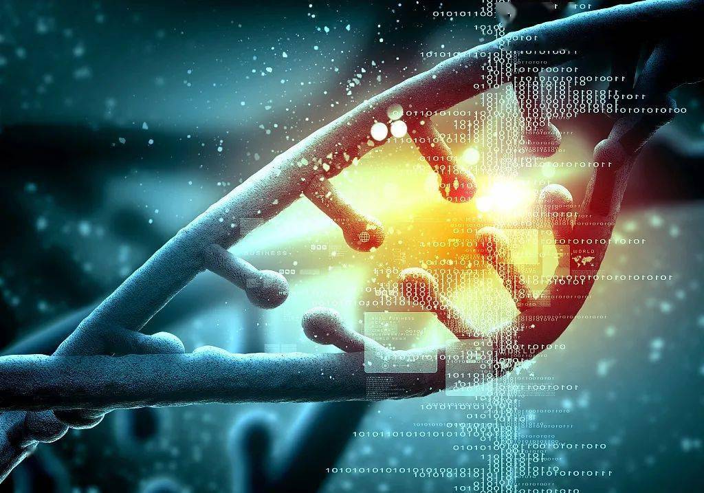 贝伐珠单抗类似物临床试验_贝伐珠单抗多少钱一只_贝伐单抗和贝伐珠单抗