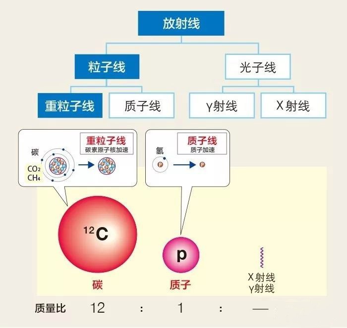 美国国立综合癌症网络（NCCN）：癌症治疗最佳方案
