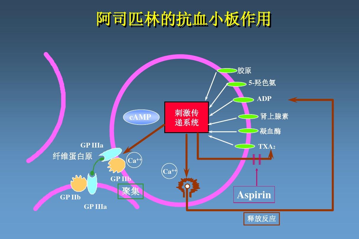 贝伐珠单抗价格_贝伐珠单抗对人体伤害_贝伐珠单抗4个月后赠药