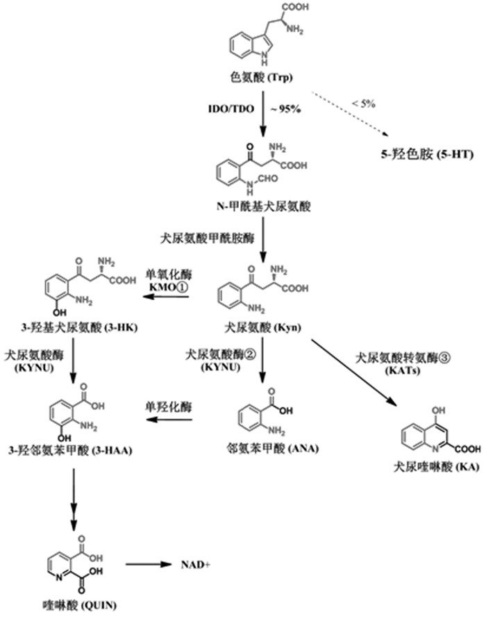 肠癌晚期的治疗_吉非替尼可以治疗结直肠癌_靶向治疗对肠癌