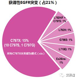 EGFR-TKI在EGFR突变阳性晚期非小细胞肺癌的耐药