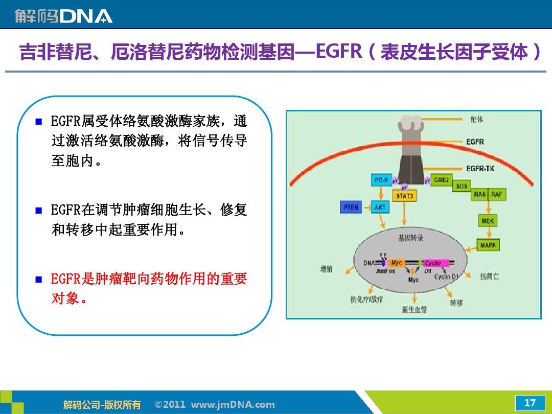 吉非替尼片临床试验_诊断试验临床应用价值_临床药物试验质量管理规范