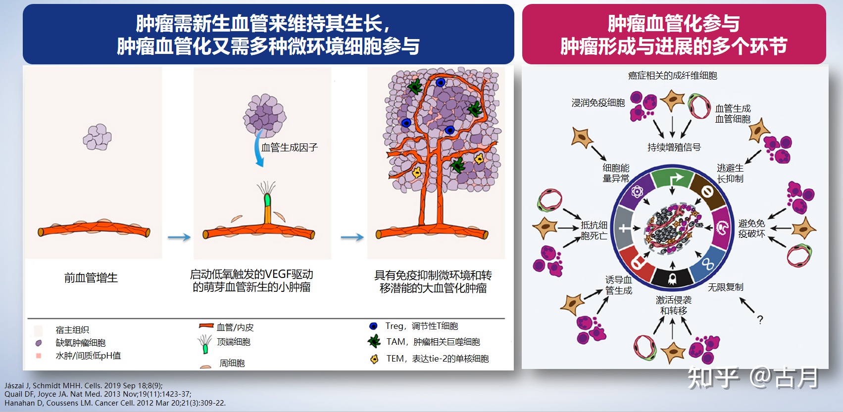 人民日报—肾癌晚期耐药怎么办？选择索坦（舒尼替尼）