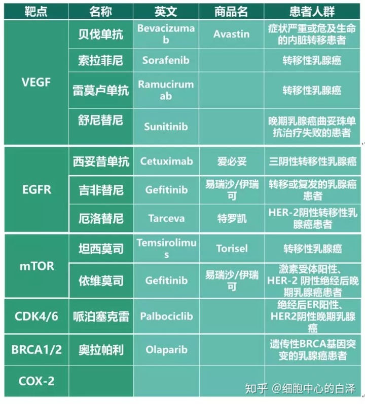 肾癌 靶向药物舒尼替尼_靶向药国产吉非替尼_肝癌靶向药索拉非尼