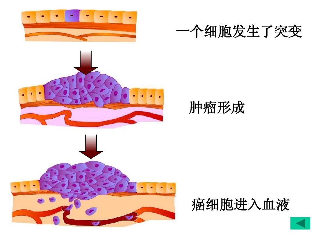西妥昔单抗贝伐单抗_贝伐单抗用于肺癌的临床实验_贝伐珠单抗 耐药性