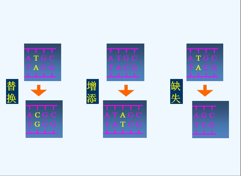 突变与突变呈顺式排列的有效治疗策略——奥希替尼