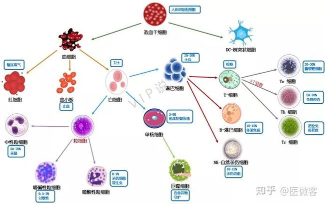 贝伐珠单抗靶向是啥_贝伐珠单抗报销后价格_天津贝伐单抗价格