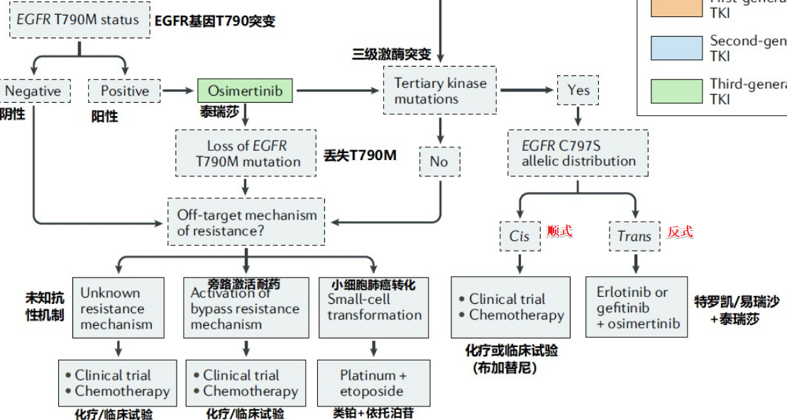 azd9291奥希替尼_9291奥希替尼价格_奥希替尼治疗肺癌脑转案例