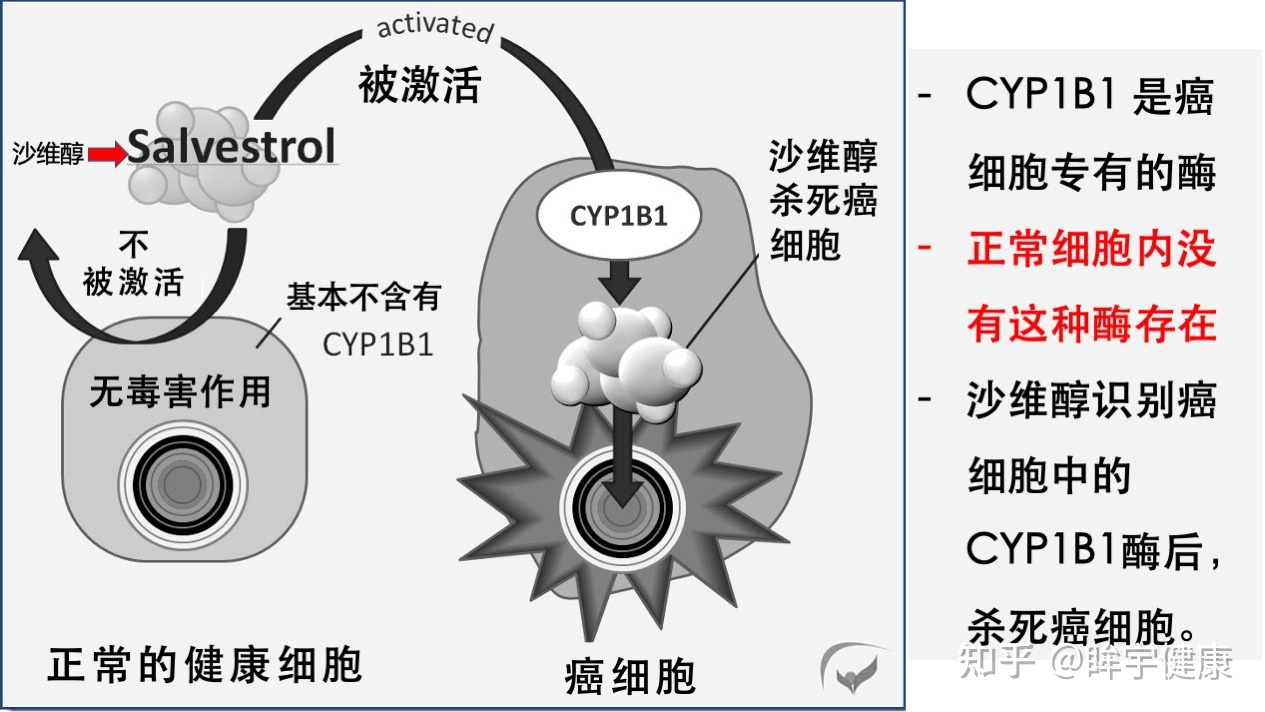 贝伐单抗脱水作用_贝伐珠单抗_贝伐珠单抗靶向是啥