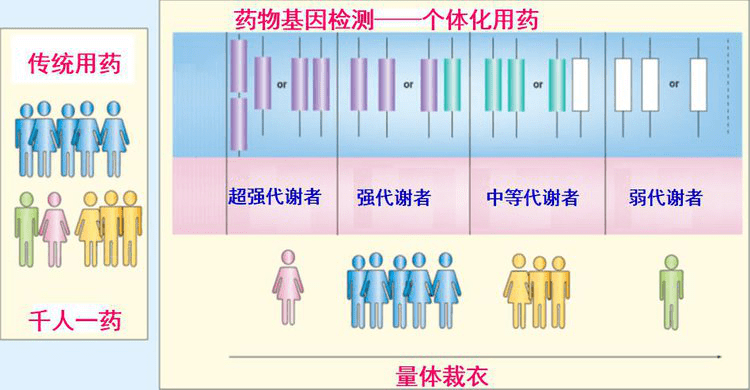 ezh2是靶向药吗_吉非替尼是靶向药_靶向药阿西替尼