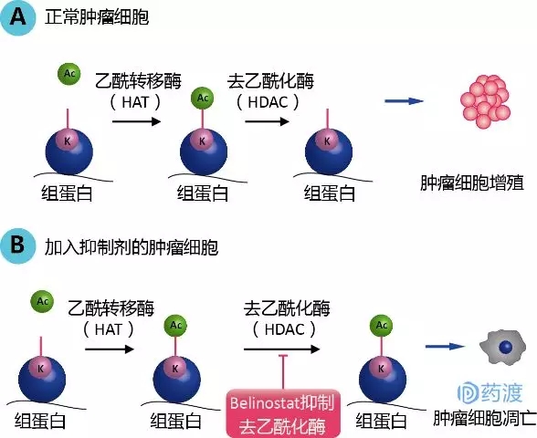 胶质母细胞瘤采用多模式强化治疗方案，但无法治愈
