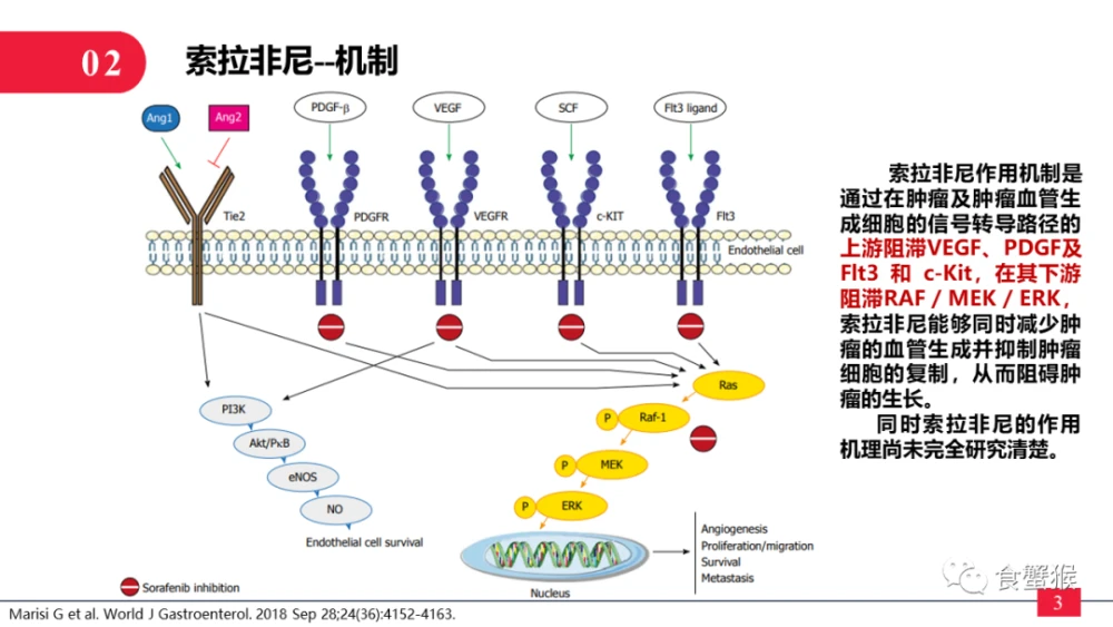 索拉非尼多少钱_索拉非尼能引起水肿吗_索拉非尼要做基因检测么