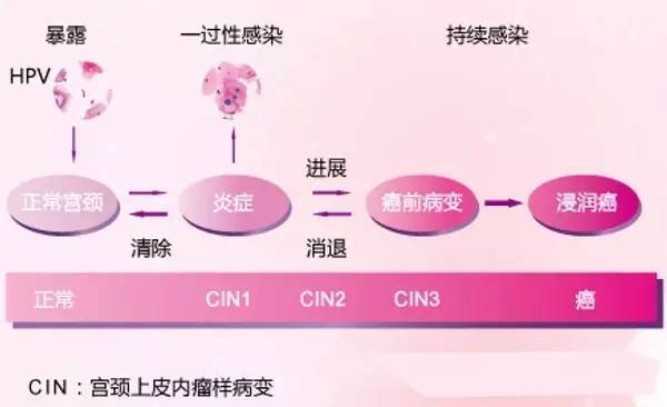 宫颈腺癌适合用贝伐单抗价格_肺癌新药贝伐单抗_贝伐珠单抗多久用一次