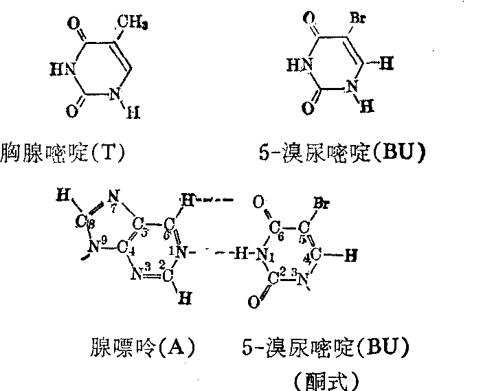 信立泰的仿制药研发管线、替格瑞洛（首仿）