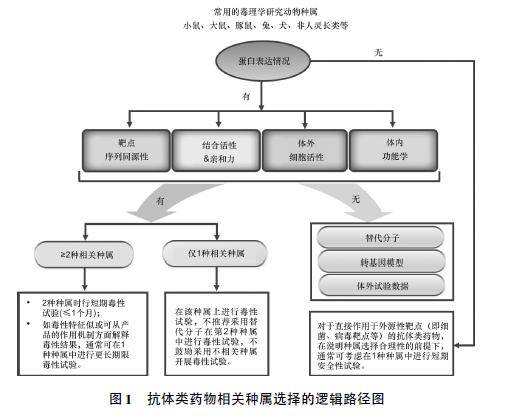 肾功能不全能用贝伐珠单抗吗_贝伐珠单抗 耐药性_贝伐珠单抗多久用一次