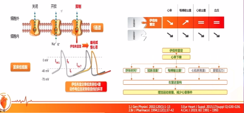 贝伐单抗用多久耐药_贝伐珠单抗六个月耐药_贝伐珠单抗靶向是啥