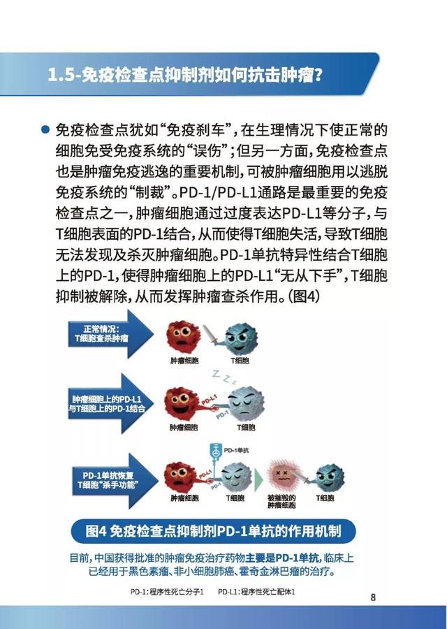 吉非替尼耐药后基因检测_索拉非尼要做基因检测么_克唑替尼耐药后alk阳性