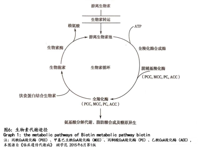 贝伐单抗鼻子出血_贝伐珠单抗是化疗吗_贝伐珠单抗造成出血